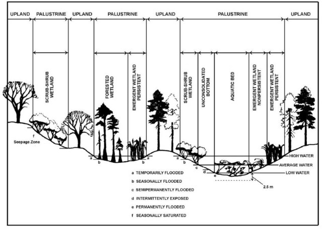 Palustrine Wetland-NPWRC
