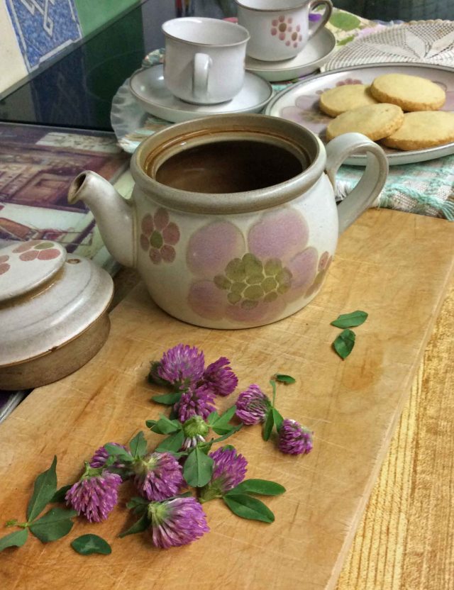 Clover and tea pot