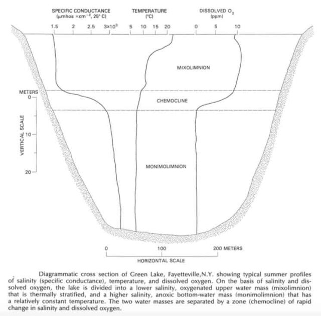 Green Lake meromictic profile