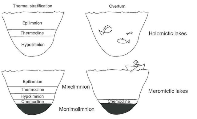 Meromictic holomictic lakes sh