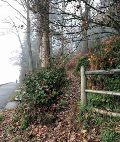Winter on Sea Wall StanleyPark