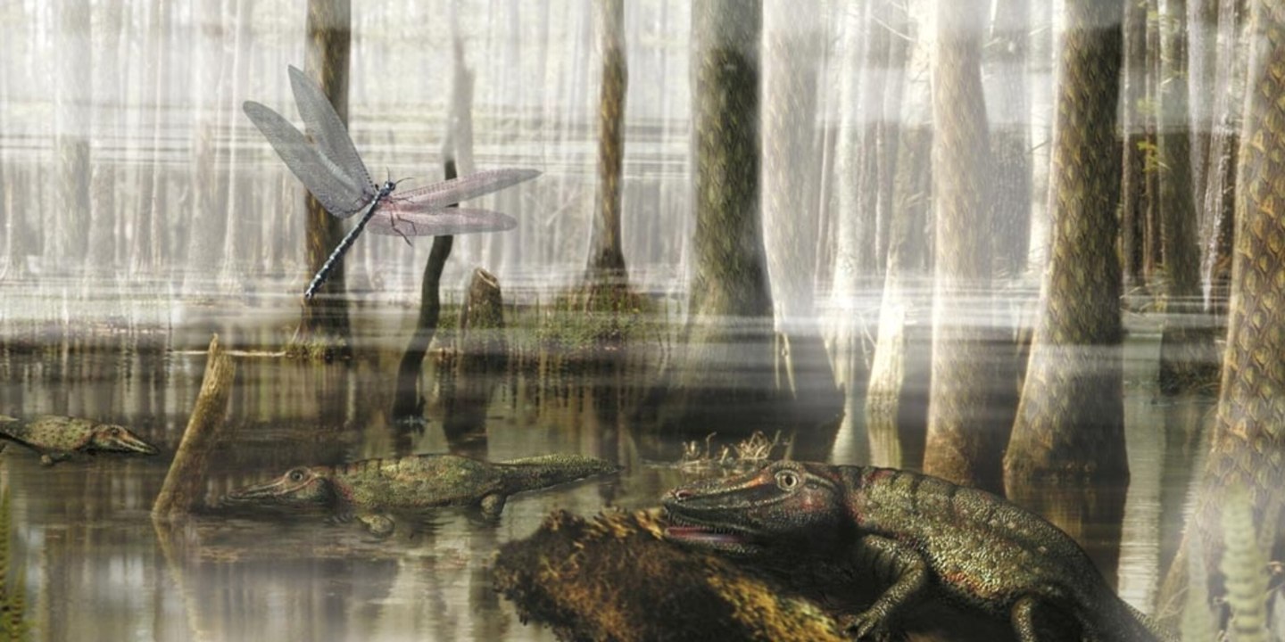 The Age of Oxygen & the Giant Insects – The Meaning of Water